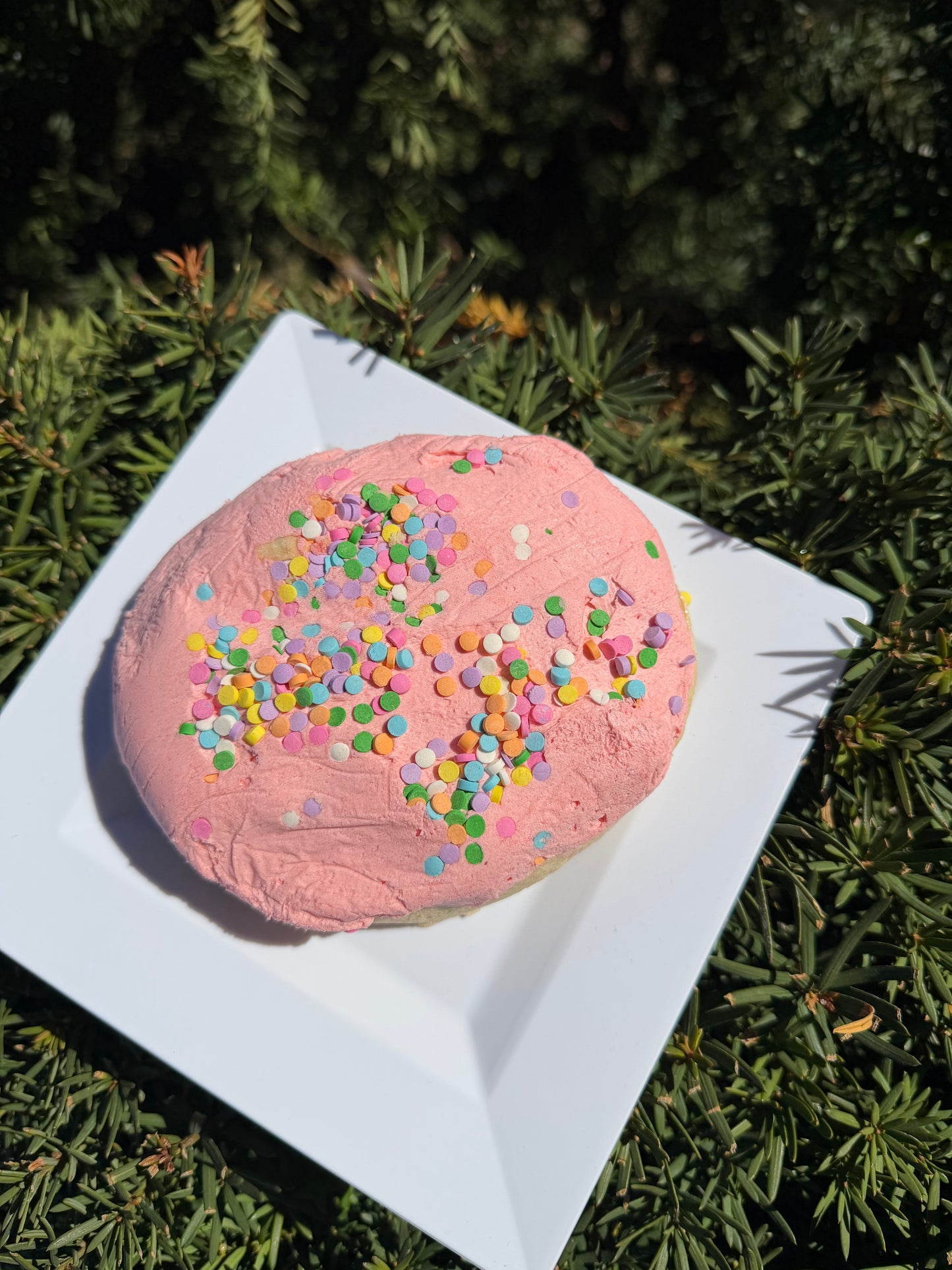 Giant Sugar Cookie